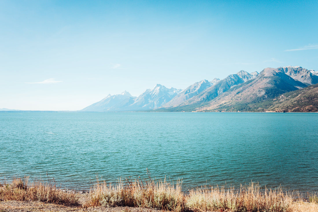 Is What I'm Hearing the Lord's Voice-- or Just My Own?