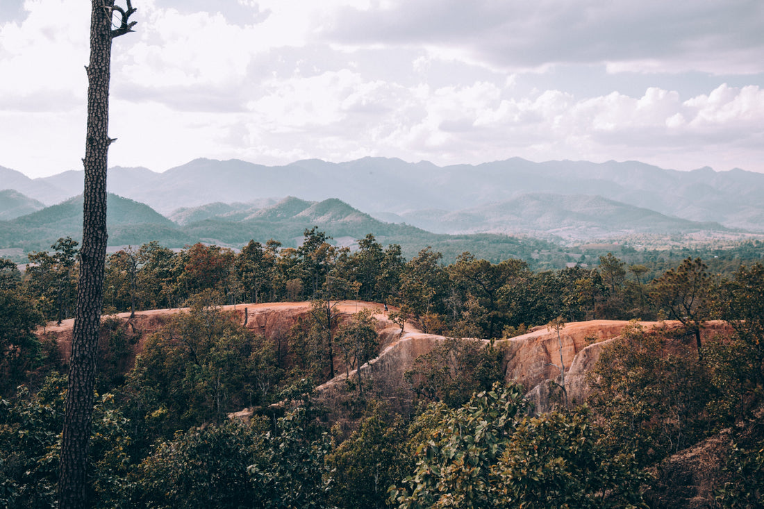 Jesus in the Wild: When the old framework is no longer an option