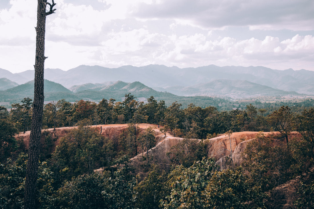 Understanding the "Why" of Friendship with Jesus